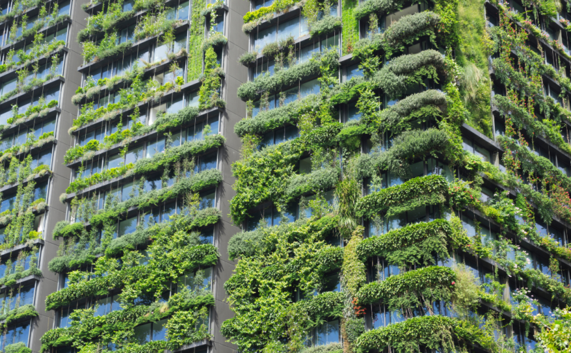 green initiatives in rental properties Property Management and Leasing Services